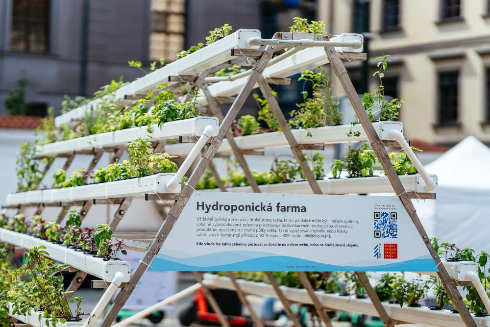 MHMP_Magistrat_patek_4_4c60043f0