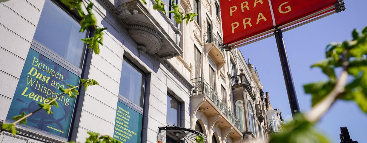 exhibition_opening___between_the_dust_and_whispers_of_leaves_