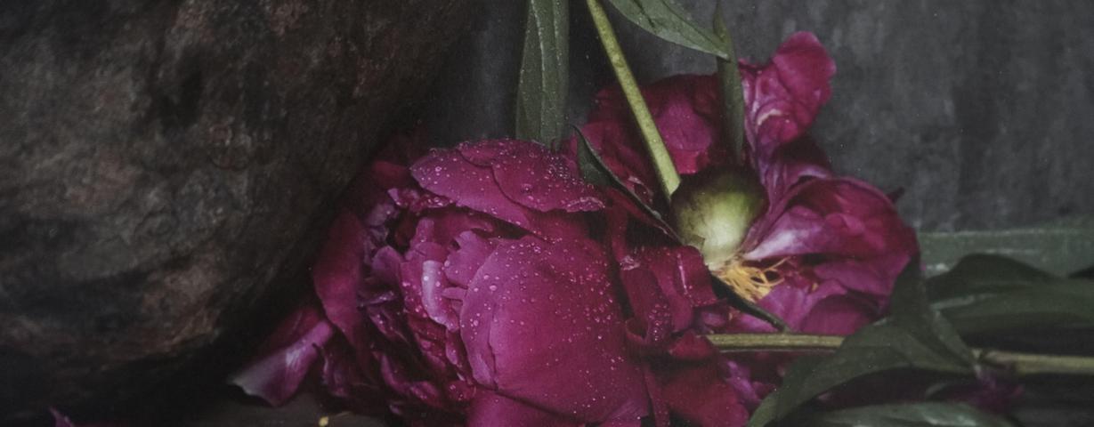 festive_opening_of_the_exhibition_of_ivan_pinkava__ablaze_in_the_sun