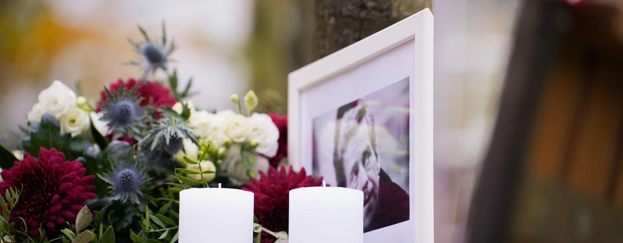 november_17th_-_the_day_of_struggle_for_freedom_and_democracy