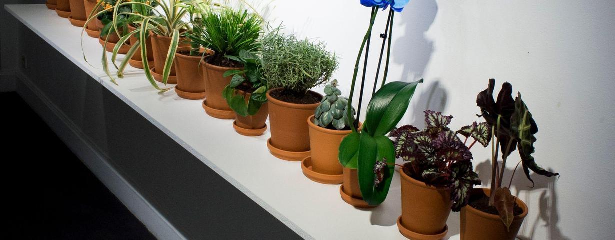 the_festive_opening__richard_loskot__object_and_consciousness_