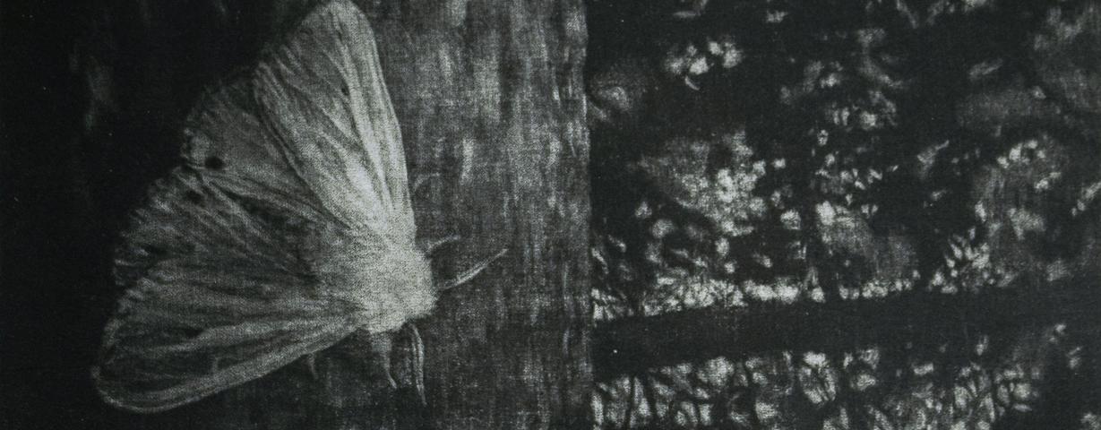 the_festive_opening_of_the_exhibition_lenka_falušiová__wait_till_the_moon_is_full