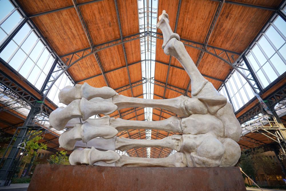 czech_artists_exhibit_at_the_sculptura__2_festival_1