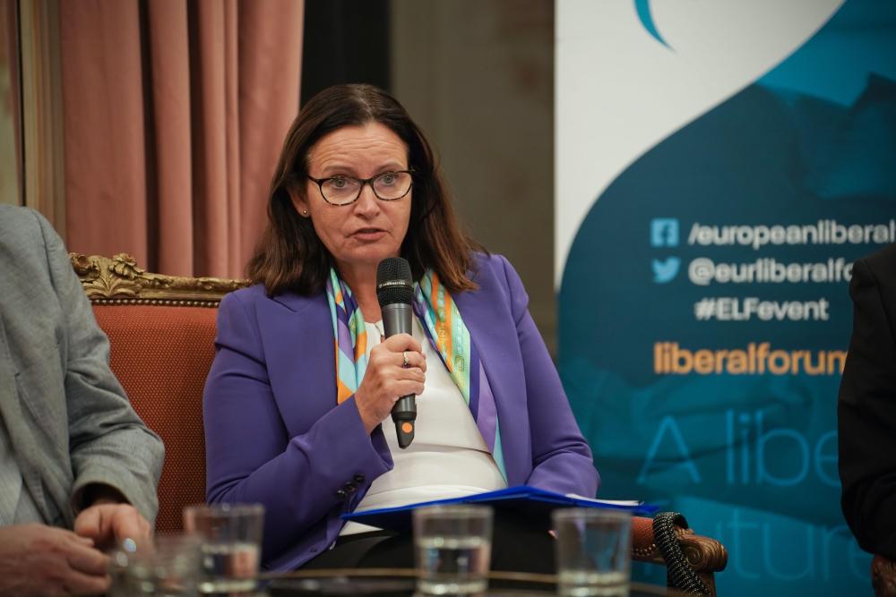 debate__the_future_of_european_integration_of_ukraine_5