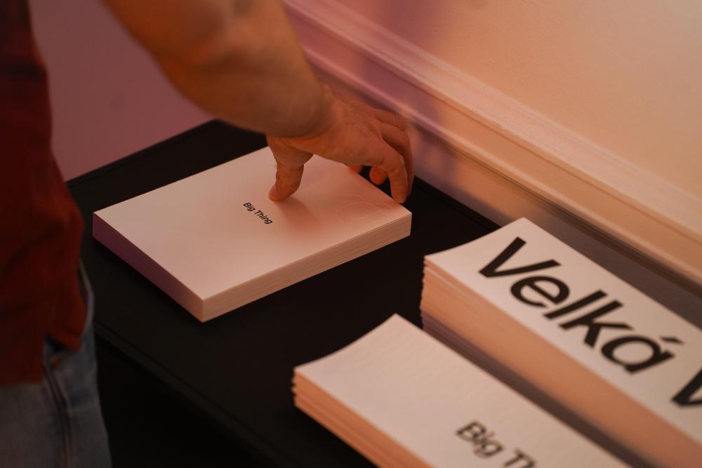 opening_of_the_exhibition__big_thing__12