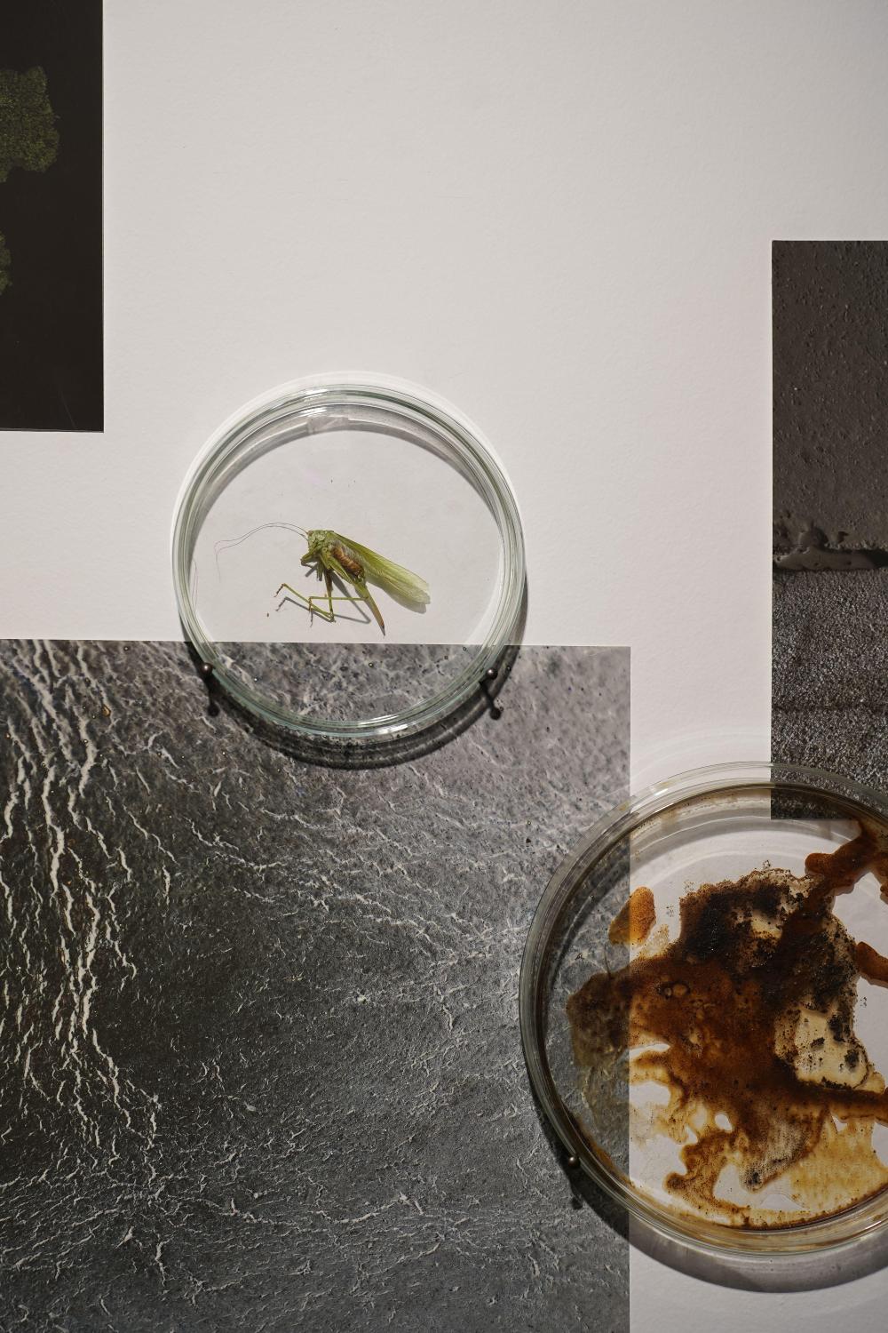 opening_of_the_exhibition__big_thing__28