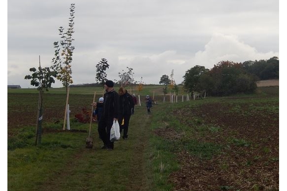 Adopce stromů podél cesty do Horoměřic