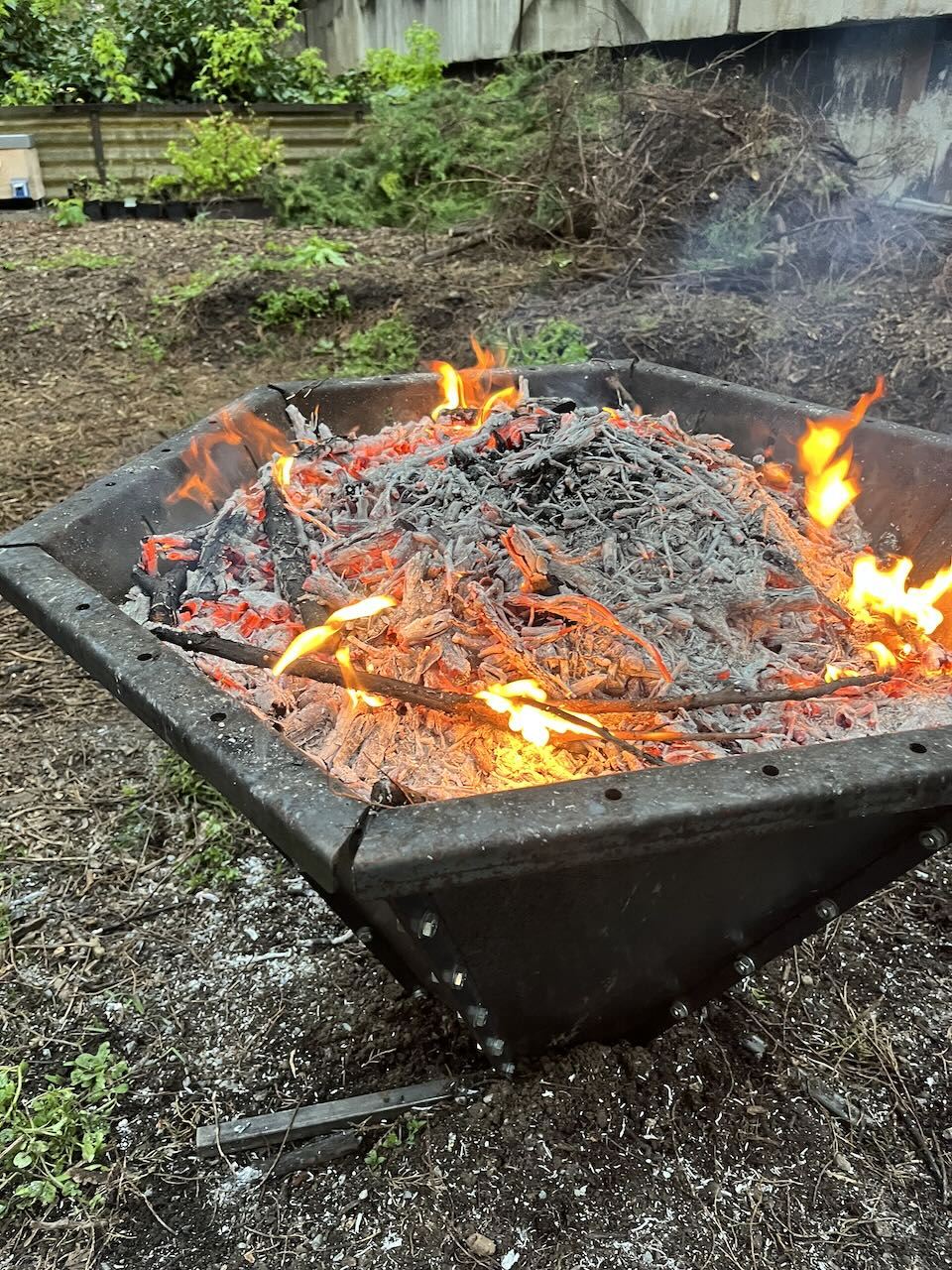 Biouhel_jako_mozna_soucast_klimatickych_opatreni_v_Praze.jpeg