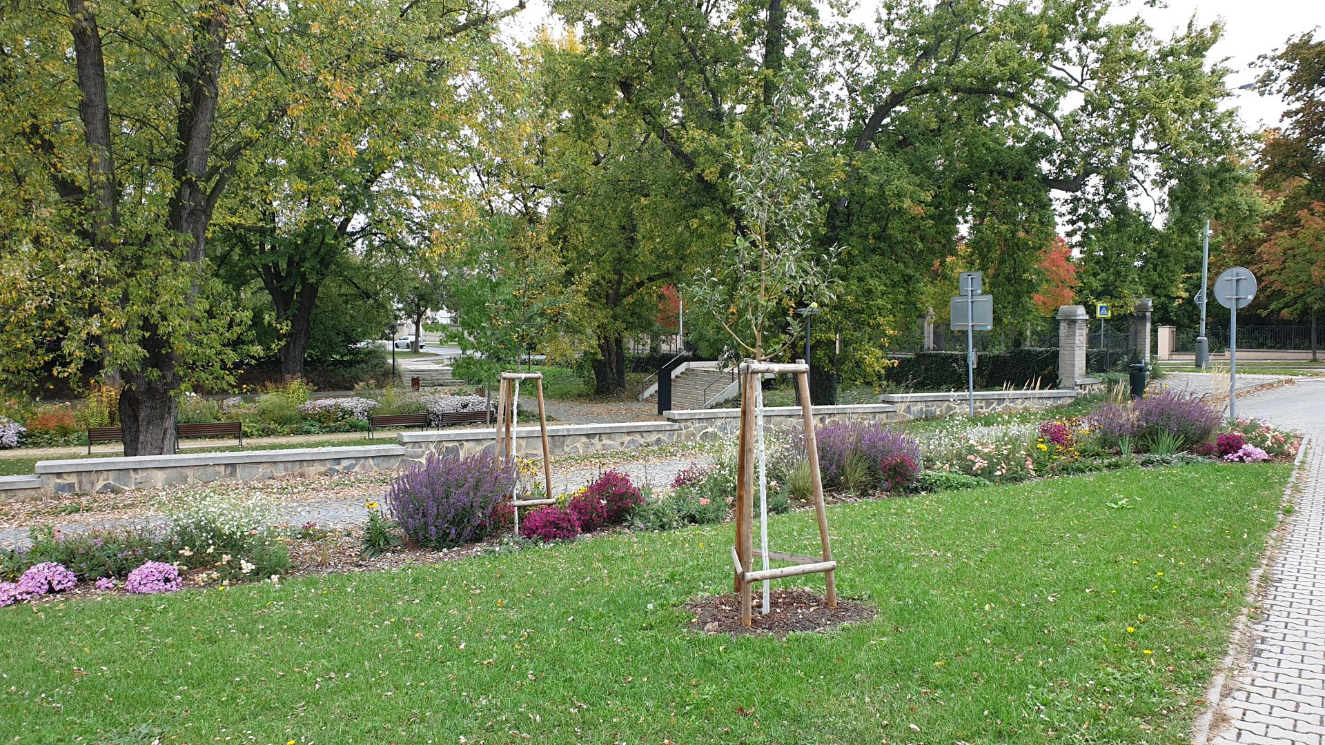 Hl_m_Praha_ma_zasobnik_projektu_adaptace_na_zmenu_klimatu_na_rok_2024.jpg