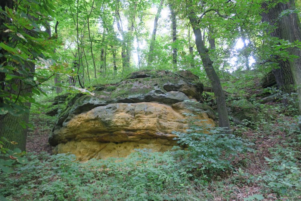 Ve Vinoř. parku jsou nápadné výchozy pískovců, které dělají iluzi pískovcových skal na Kokořínsku