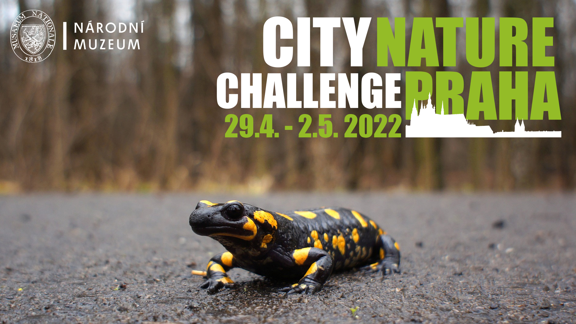 City Nature Challenge 2022, banner
