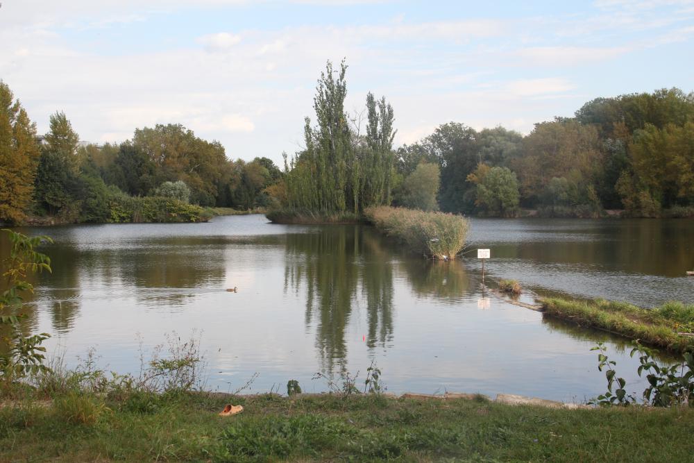 Biologické rybníky v Čakovicích