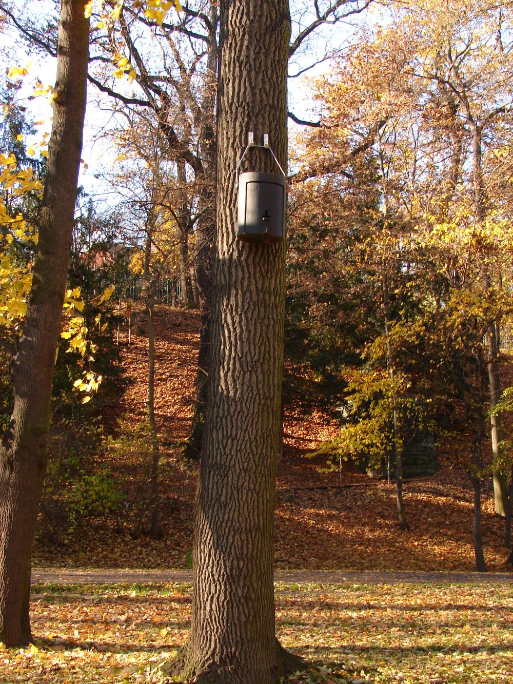 celoroční budka pro netopýry instalovaná ve Stromovce (foto Petra Schnitzerová)