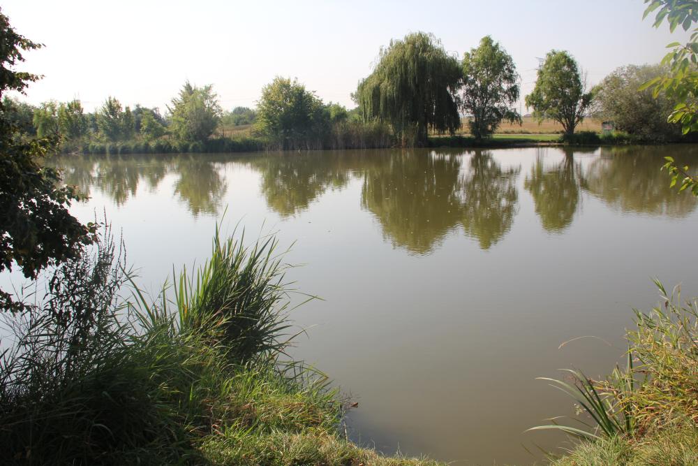 Pohled na rybník Brůdek na okraji Šeberova