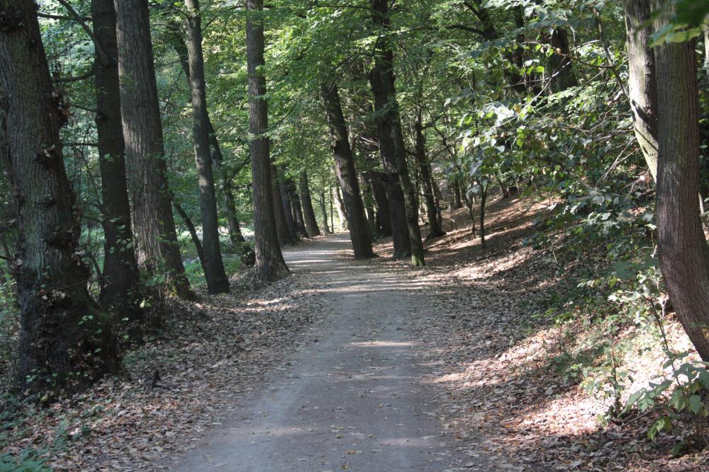 Cesta Kunratickým lesem