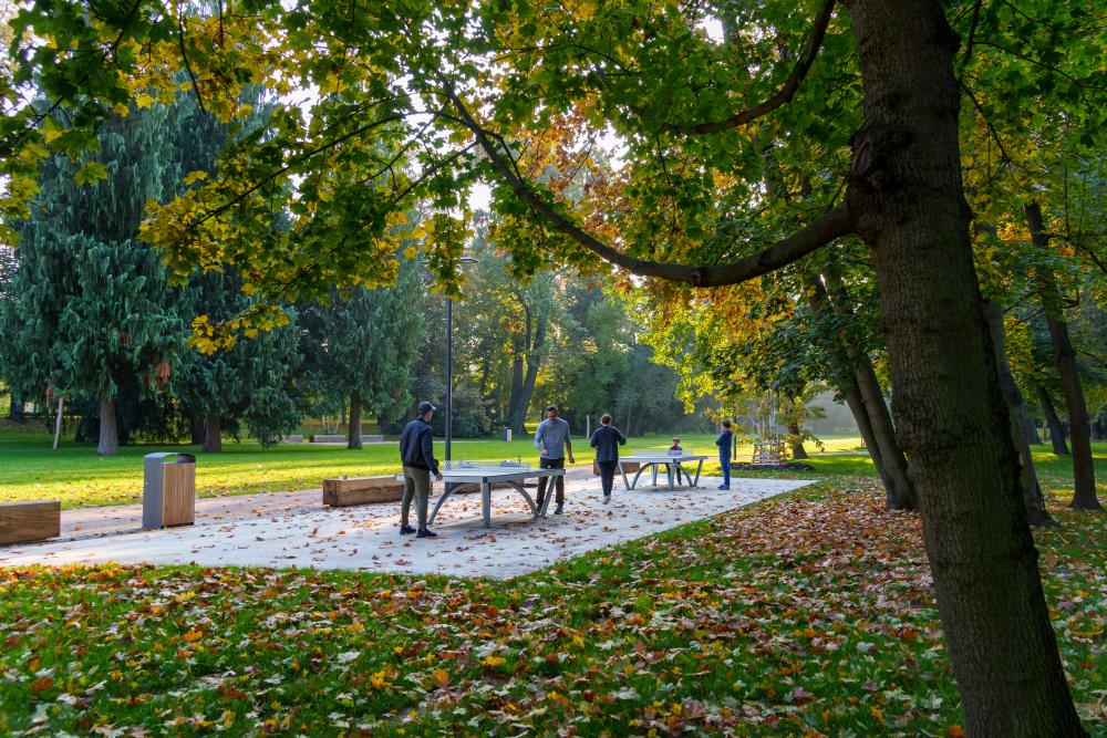 3577572_Stromovka, revitalizace přičleněné části, 3/2023