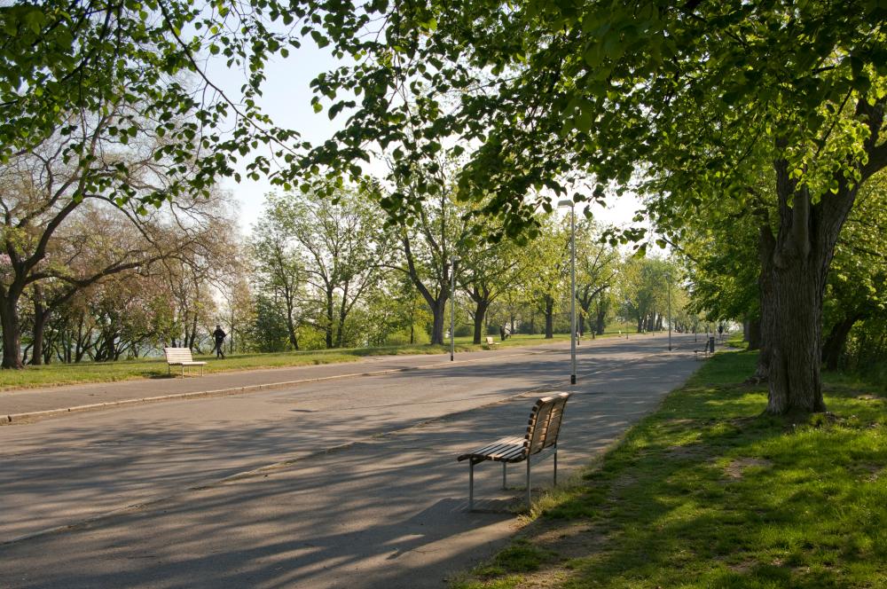 park na vrchu Vítkově, pohled alejí ve směru k Ohradě