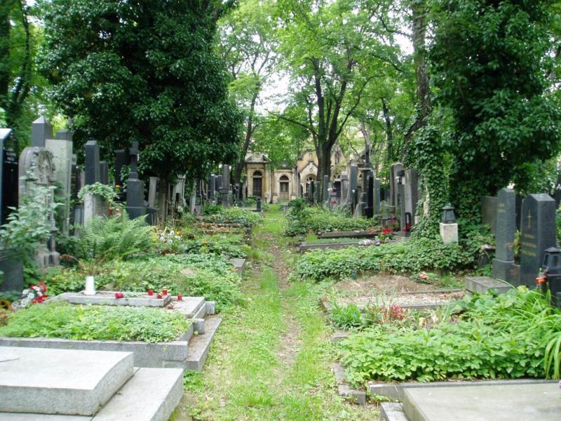 hřbitov_anot
