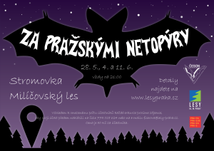 Za pražskými netopýry 2015, informační leták (PDF)