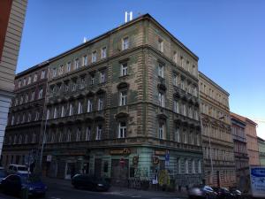 borivojova