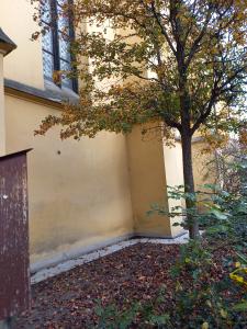 g009C_kostel sv. Klimenta_po (10)
