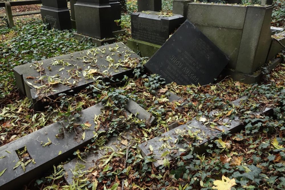 nový židovský hřbitov_07