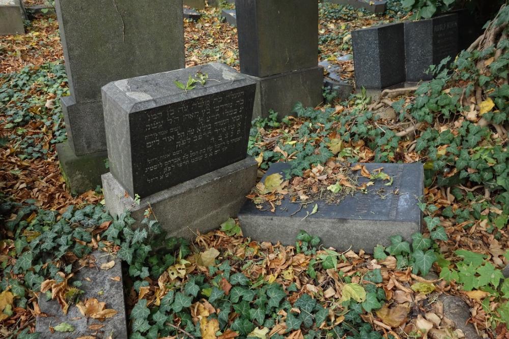 nový židovský hřbitov_16