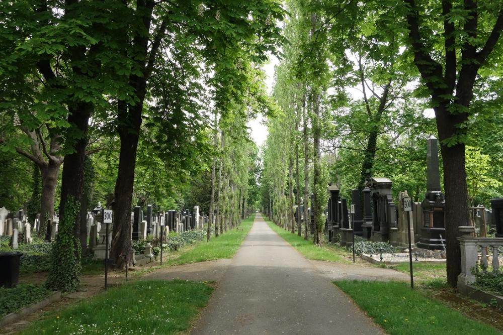 nový židovský hřbitov_17