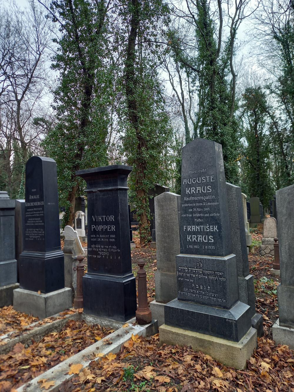 g019C_Nový židovský hřbitov_po (1)