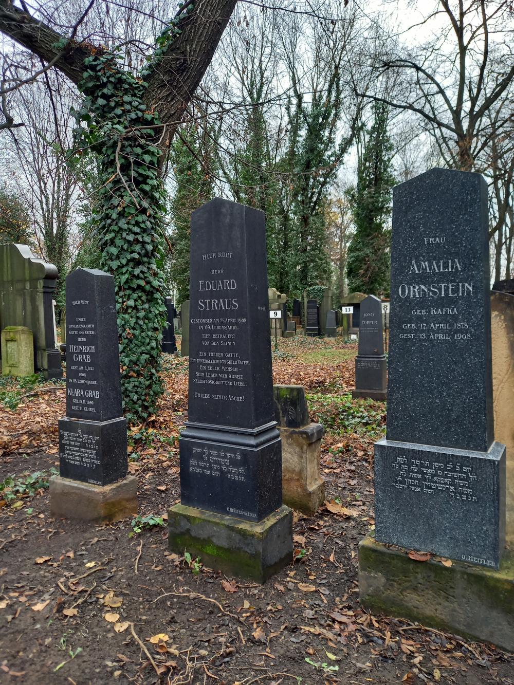 g019C_Nový židovský hřbitov_po (10)