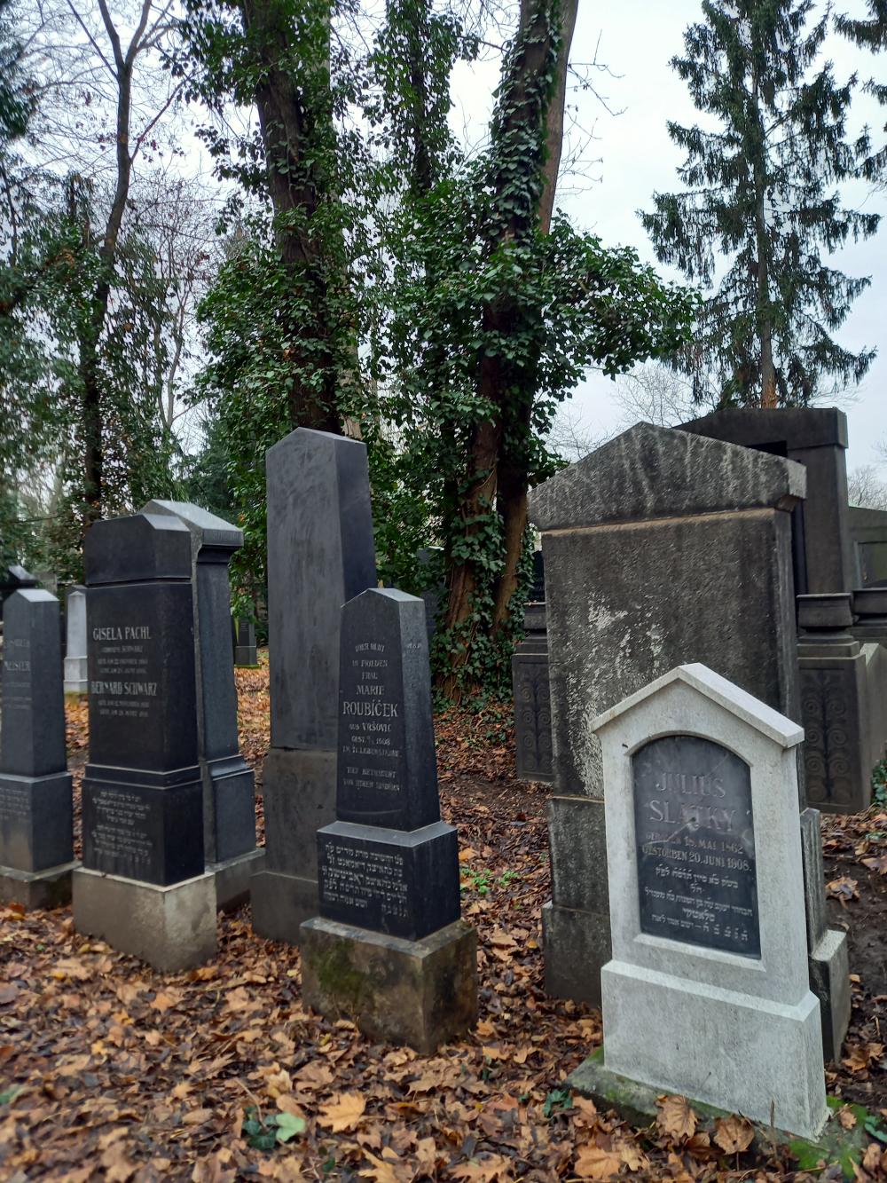 g019C_Nový židovský hřbitov_po (11)