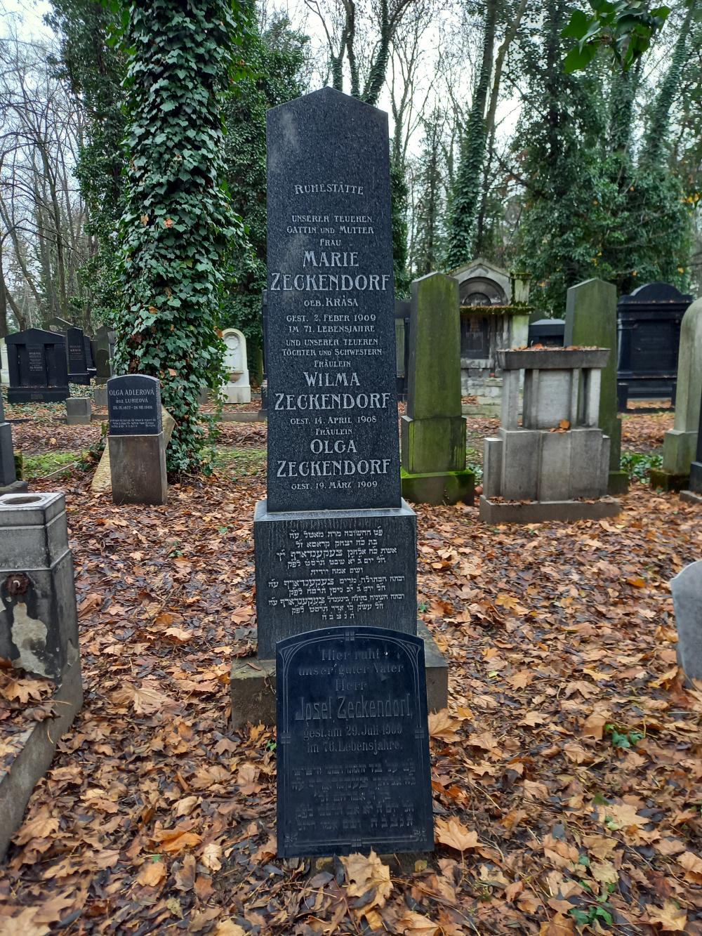 g019C_Nový židovský hřbitov_po (12)