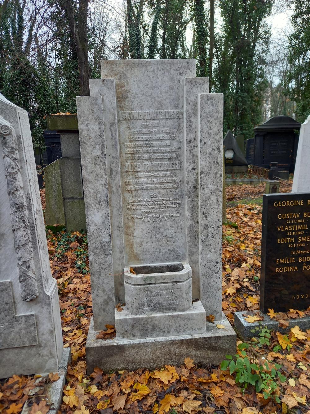 g019C_Nový židovský hřbitov_po (13)