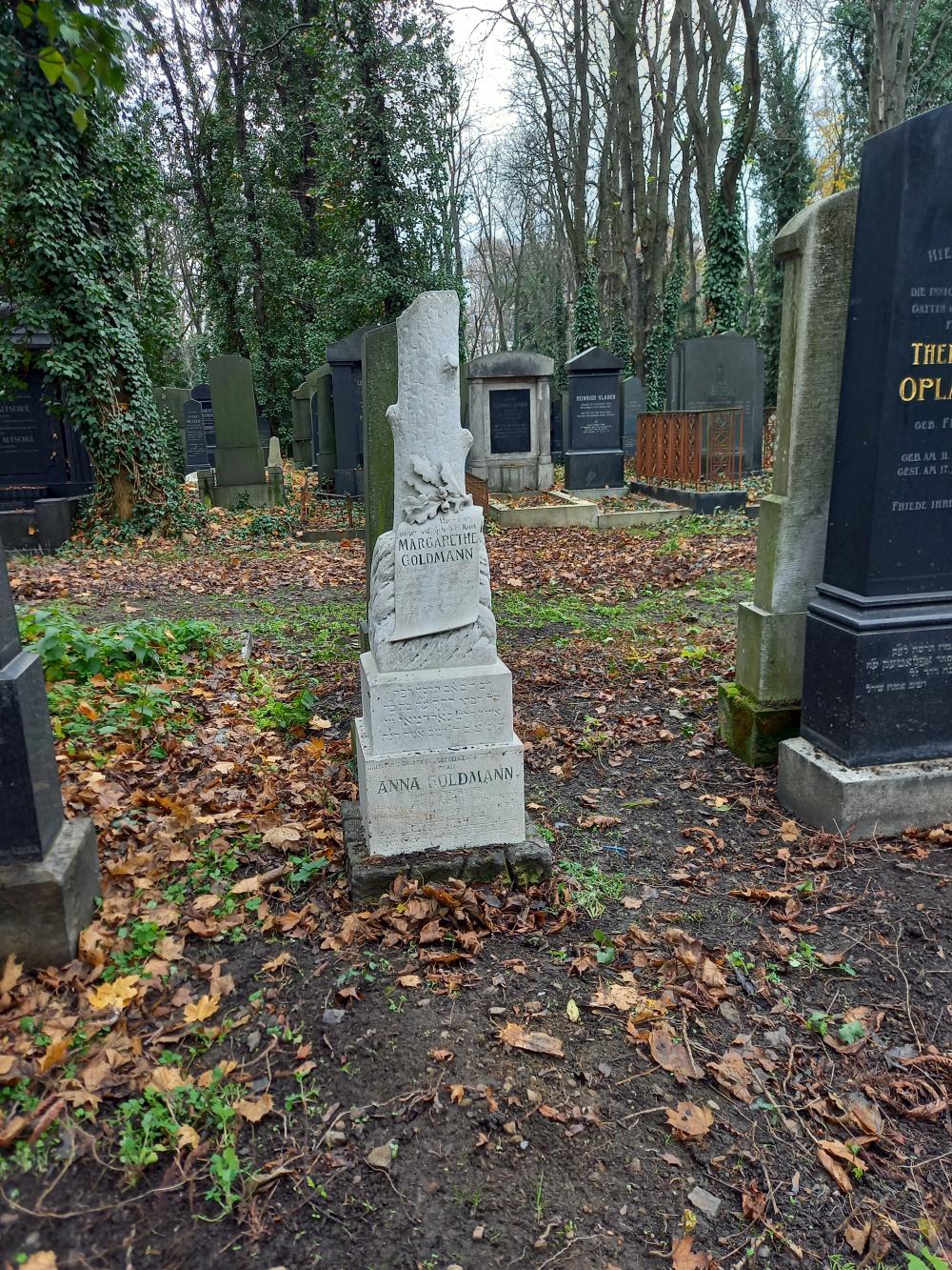 g019C_Nový židovský hřbitov_po (15)