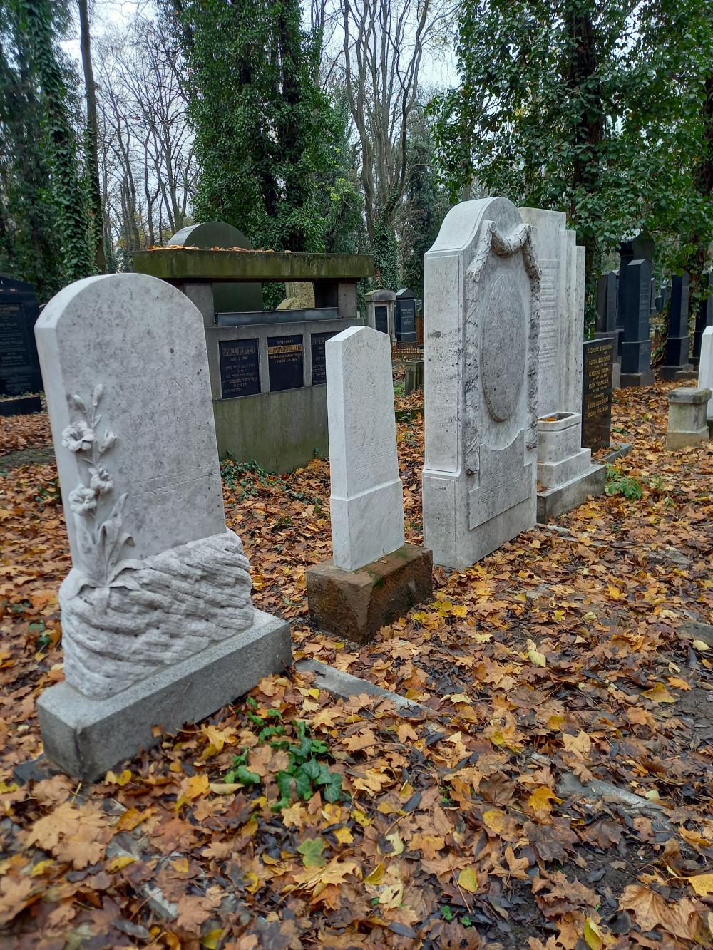 g019C_Nový židovský hřbitov_po (2)