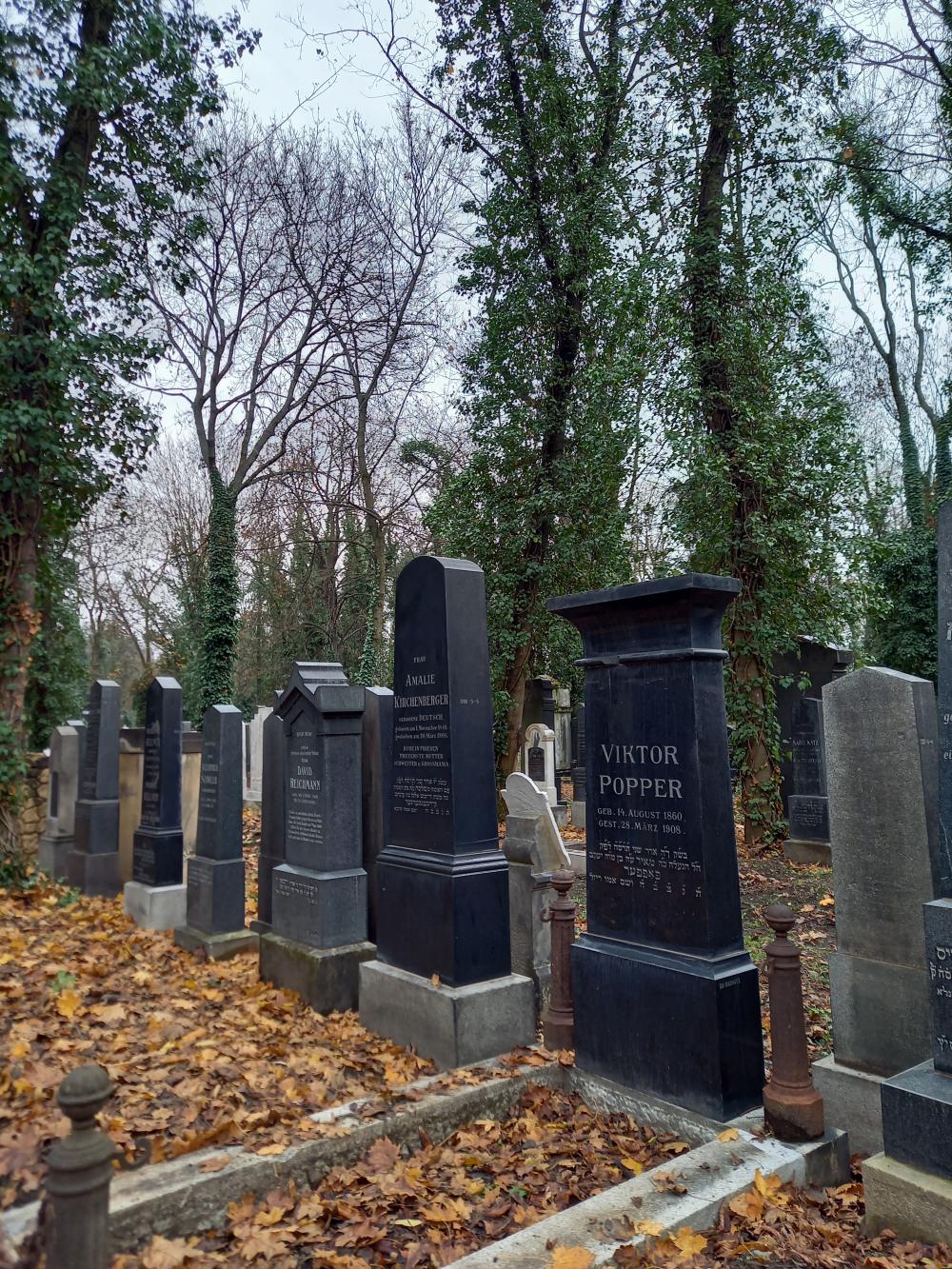 g019C_Nový židovský hřbitov_po (3)