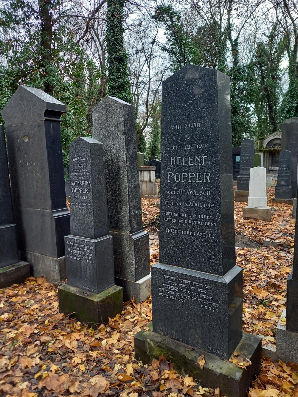 g019C_Nový židovský hřbitov_po (6)