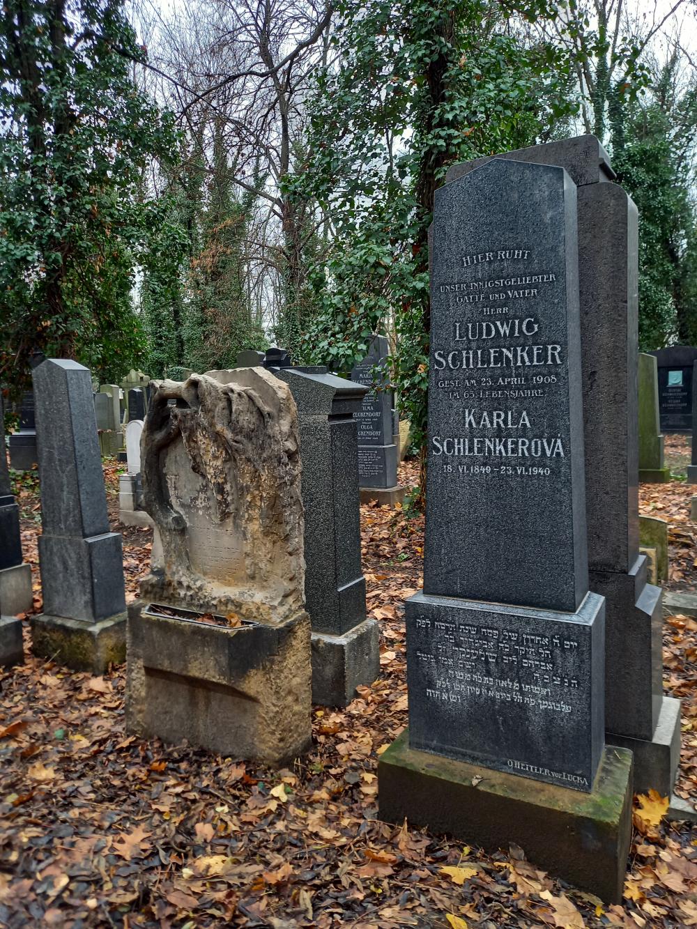 g019C_Nový židovský hřbitov_po (7)