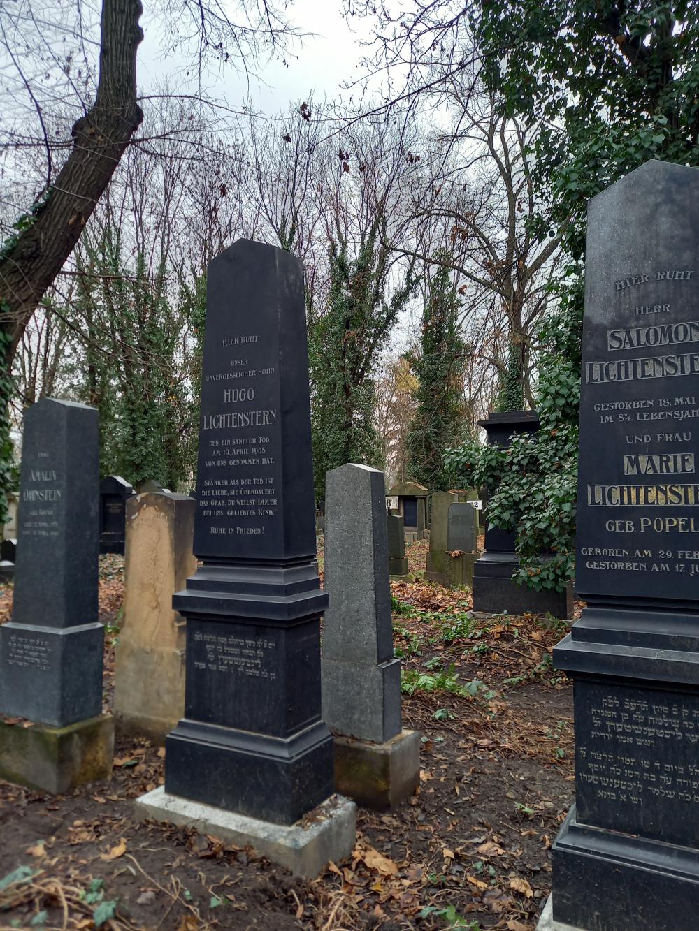 g019C_Nový židovský hřbitov_po (9)