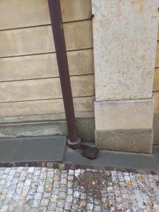 g028C_Kostel sv. Mikuláše_Vršovice_po (6)