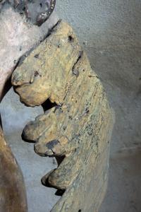 oltar_sv_sebestiana_pred_13