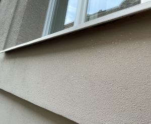 pred_Za Poříčskou bránou 300_13 (2)