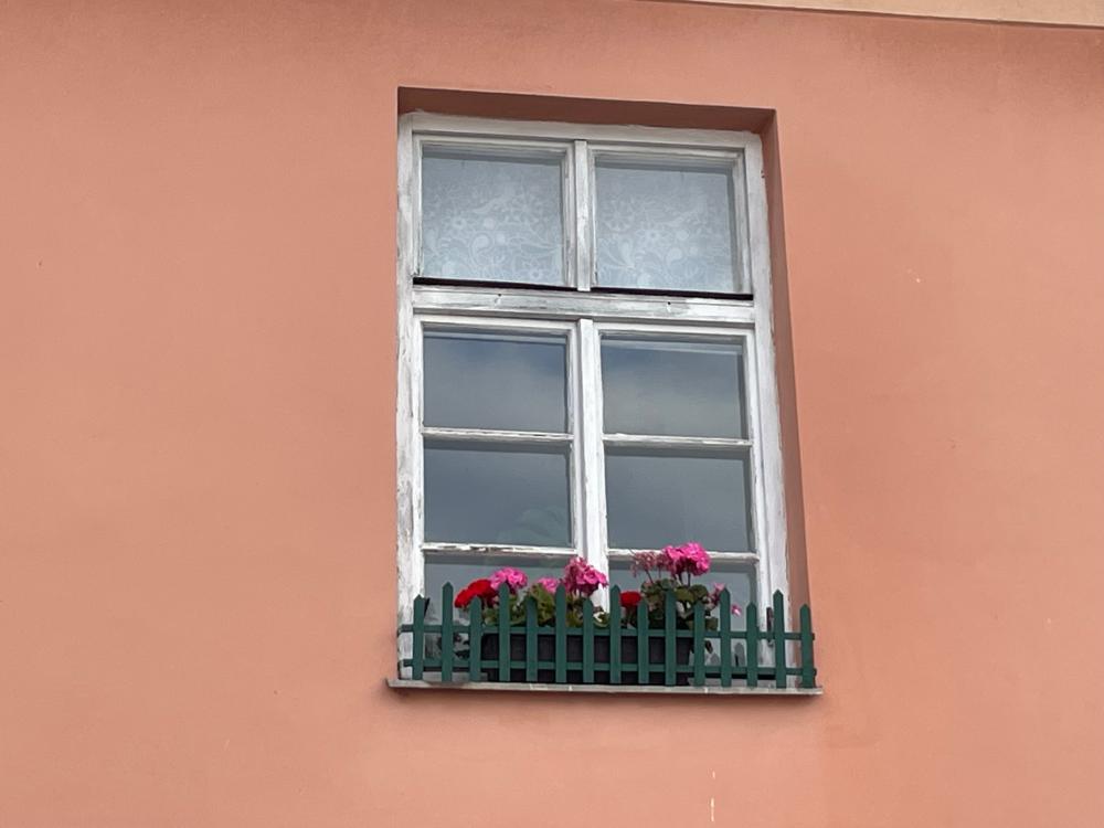 U Lužického semináře 42_pred (12)