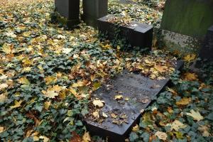 Nový židovský hřbitov (11)
