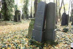 Nový židovský hřbitov (12)
