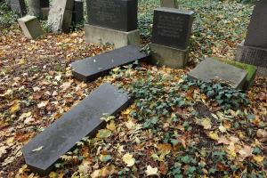 Nový židovský hřbitov (13)