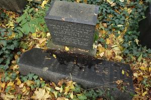Nový židovský hřbitov (6)