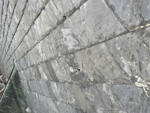 bazilika sv. Petra a Pavla_pred (1)
