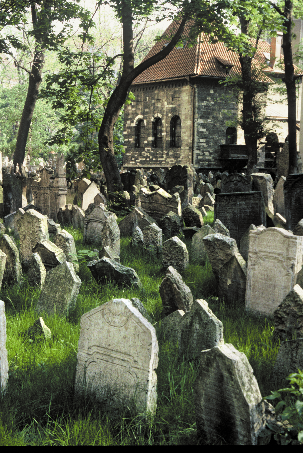 Srarý židovský hřbitov