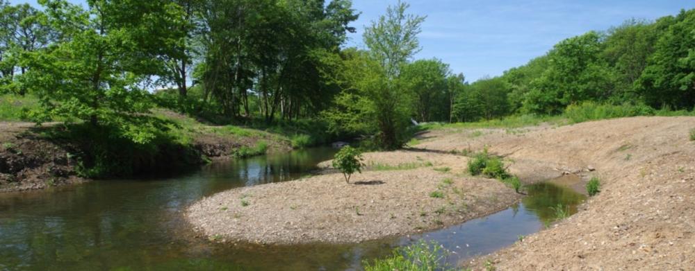 Revitalizace Rokytky v Hrdlořezích pod Smetankou - 1. etapa 1229px